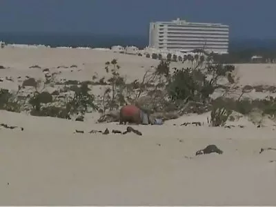 בחורה יפה השתגעה מאיבר מינו של הבחור ומיד נתנה סרטי סקס חינם מוניקה לו.